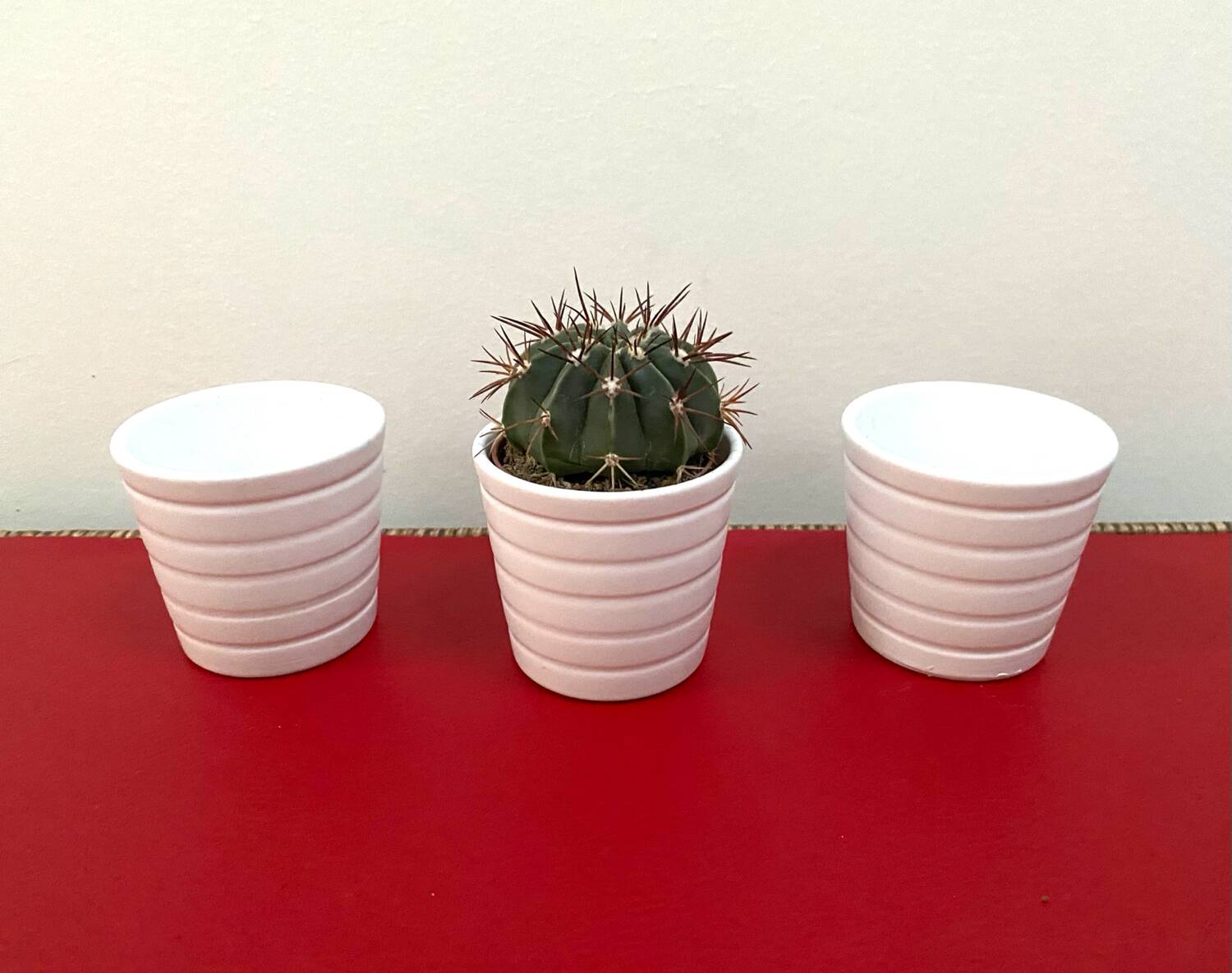 Set of 4 small ceramic plant pots