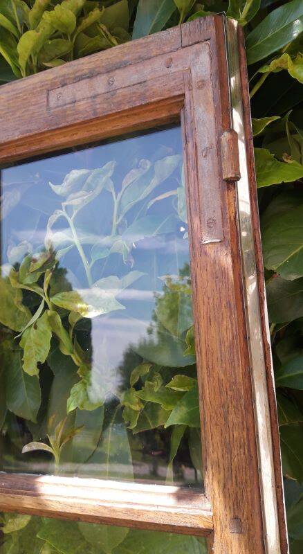 Lot of 4 oak windows H141xL112/117cm old small panes