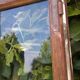 Lot of 4 oak windows H141xL112/117cm old small panes