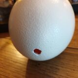 Ostrich egg