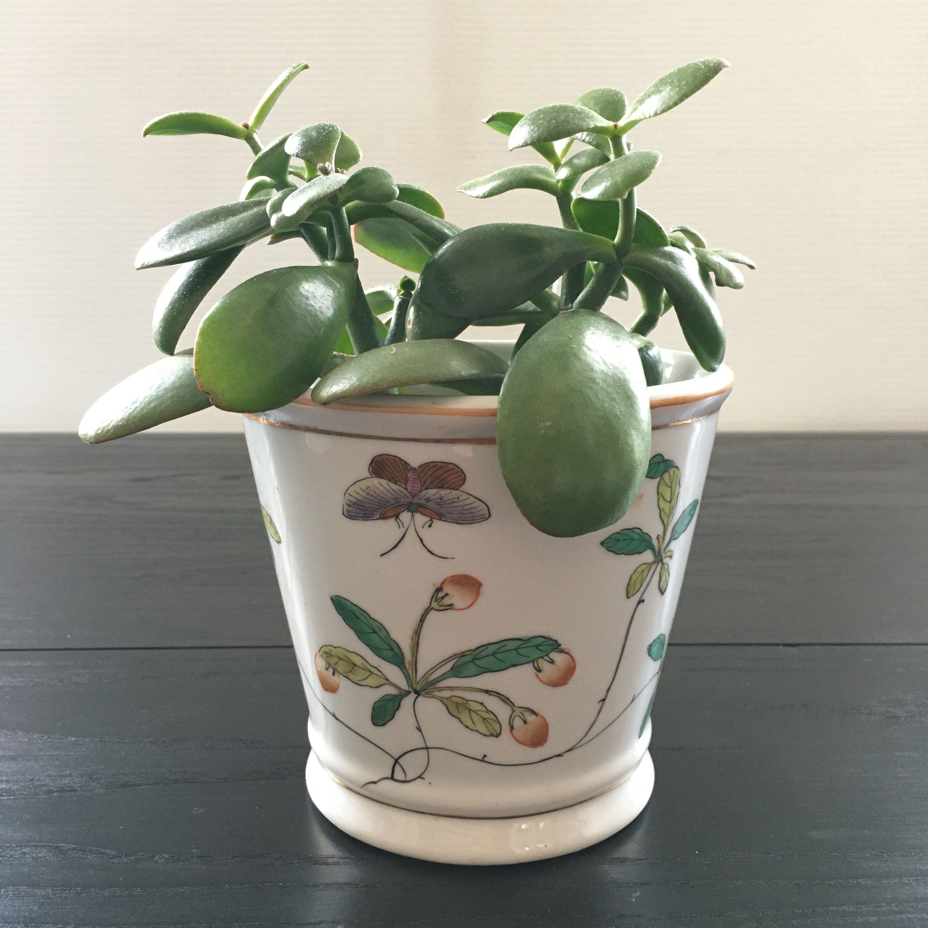 Pot cache floral decoration