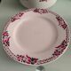 Vaisselle ancienne ceranor st amand
