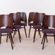Ensemble de 6 chaises de salle à manger par R. Hofman pour TON, modèle 514, années 1960, retapissées