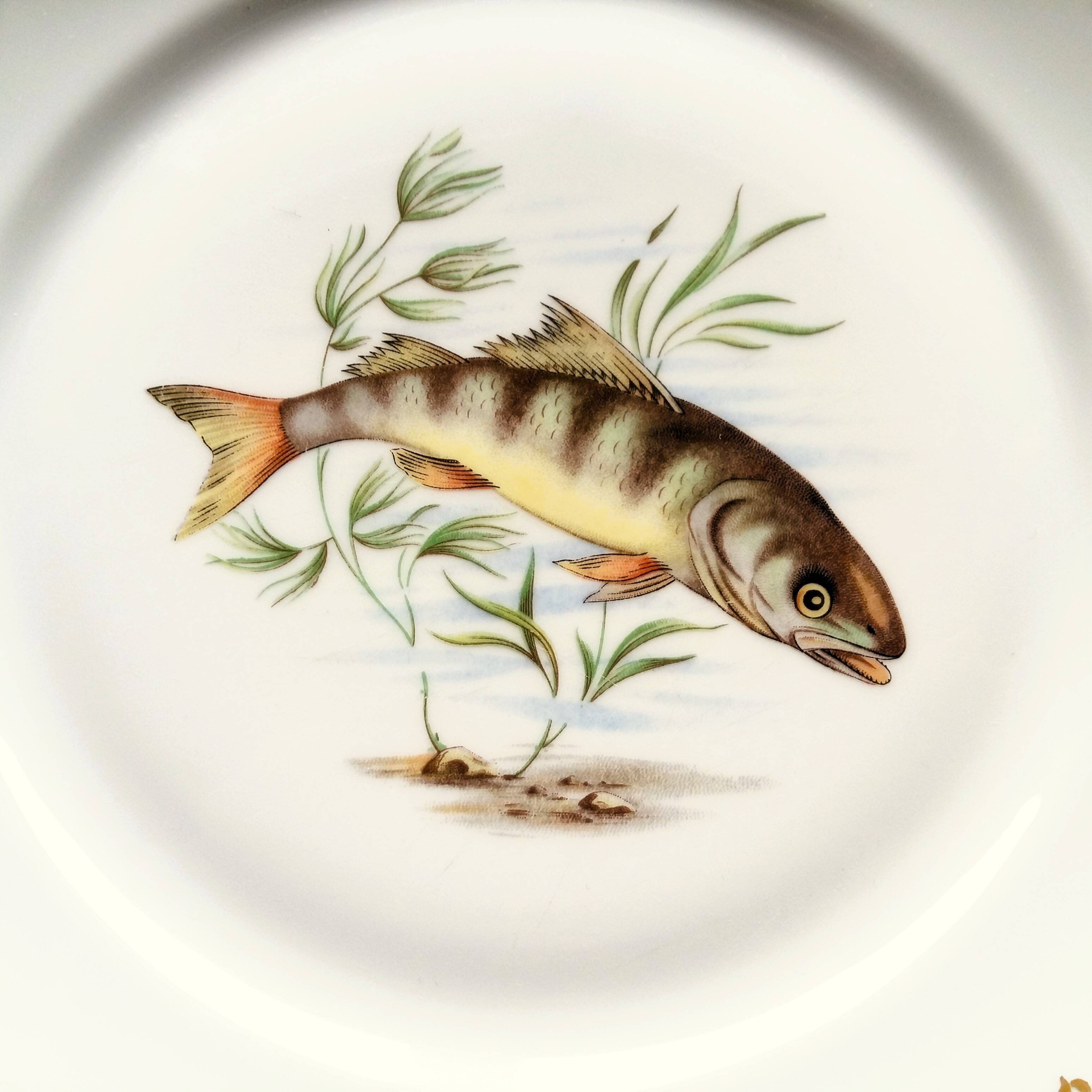 Set of four fish plates. vintage french fish plate set.