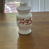 Set of 5 vintage opaline Ariel spice jars