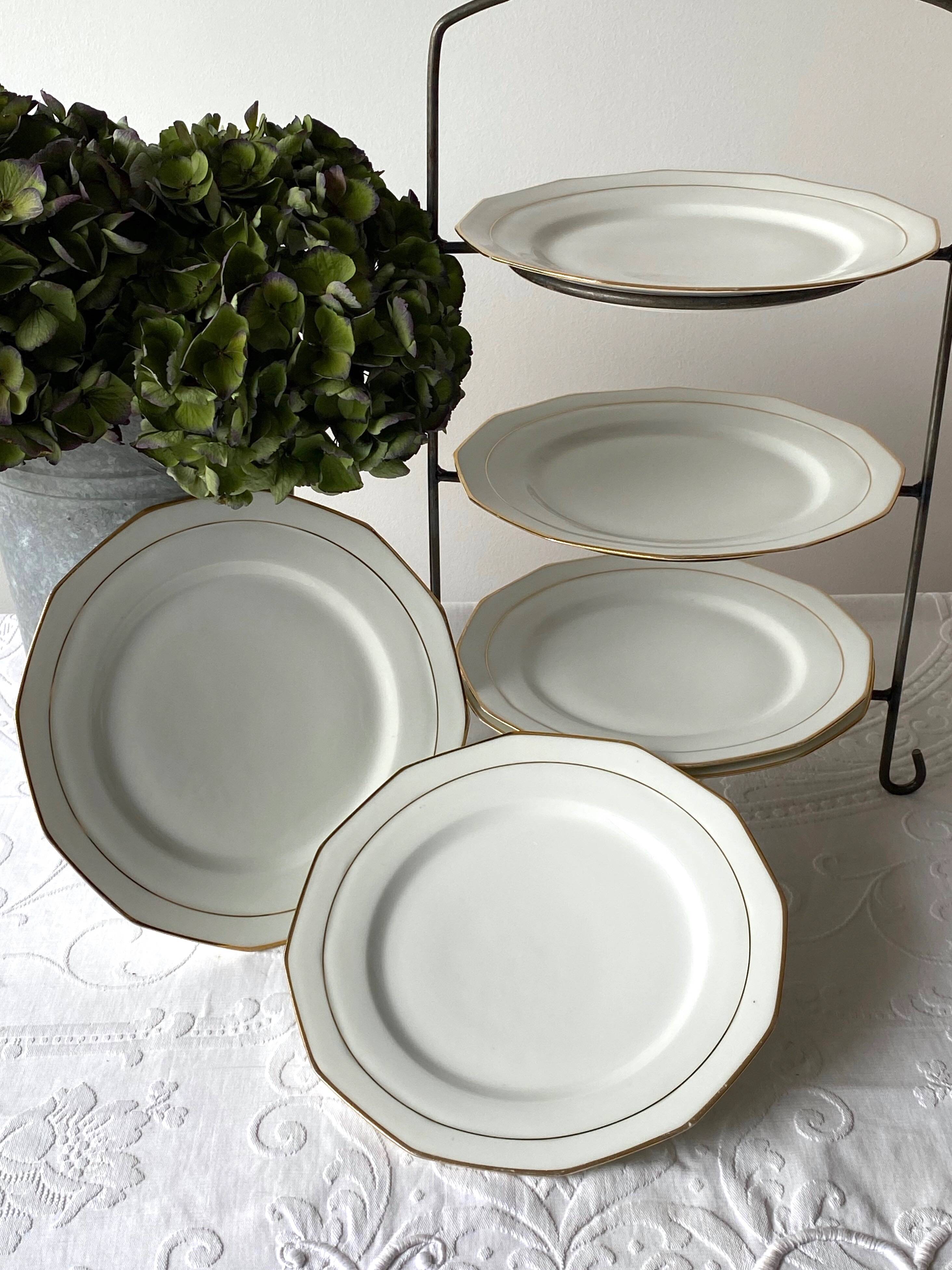 Limoges porcelain dinner plates