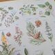 Printed in 1954, calming plants.