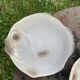 6 flat plates fish in beige ceramic Salins les bains