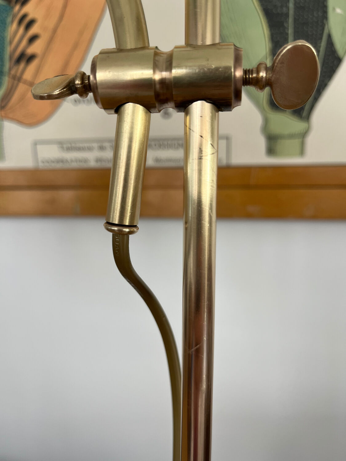 1900 adjustable swan neck lamp