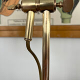 1900 adjustable swan neck lamp