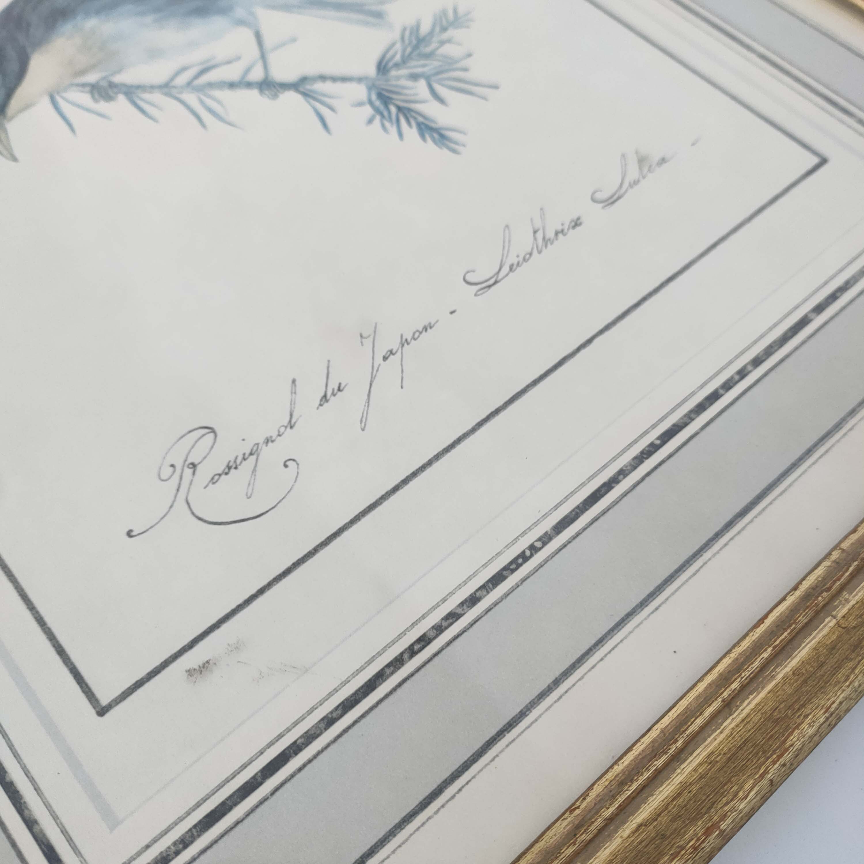 Golden frame engraving nightingale