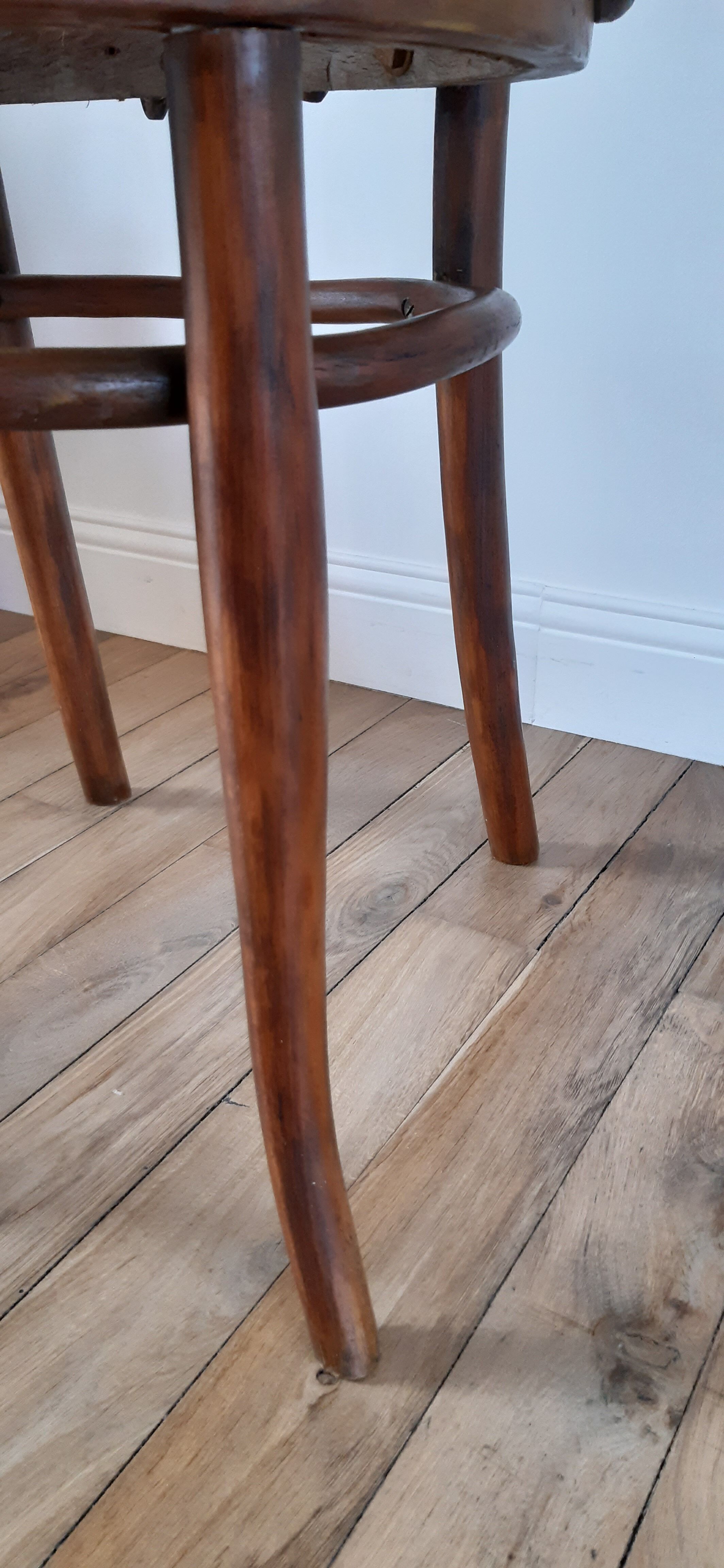 Chair in bentwood and canning XIXth