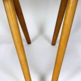 Dining Chairs by Antonin Suman, 1960s, Set of 4