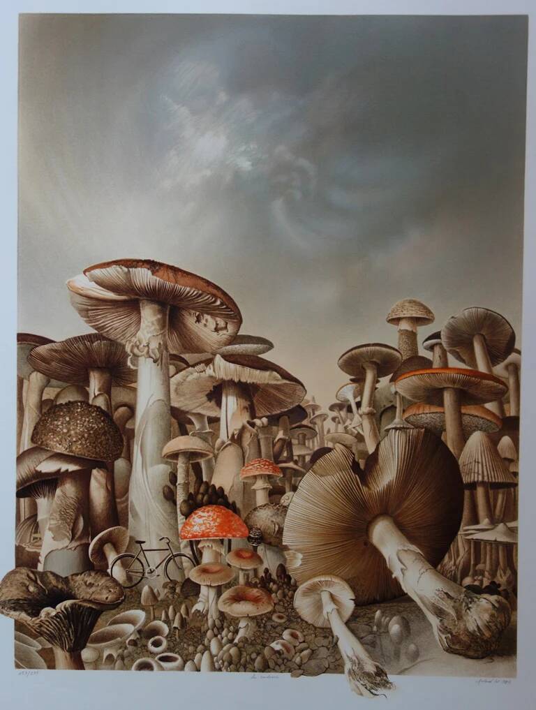 Roland CAT: Bicycle and Mushrooms, original signed lithograph