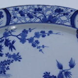 Dish