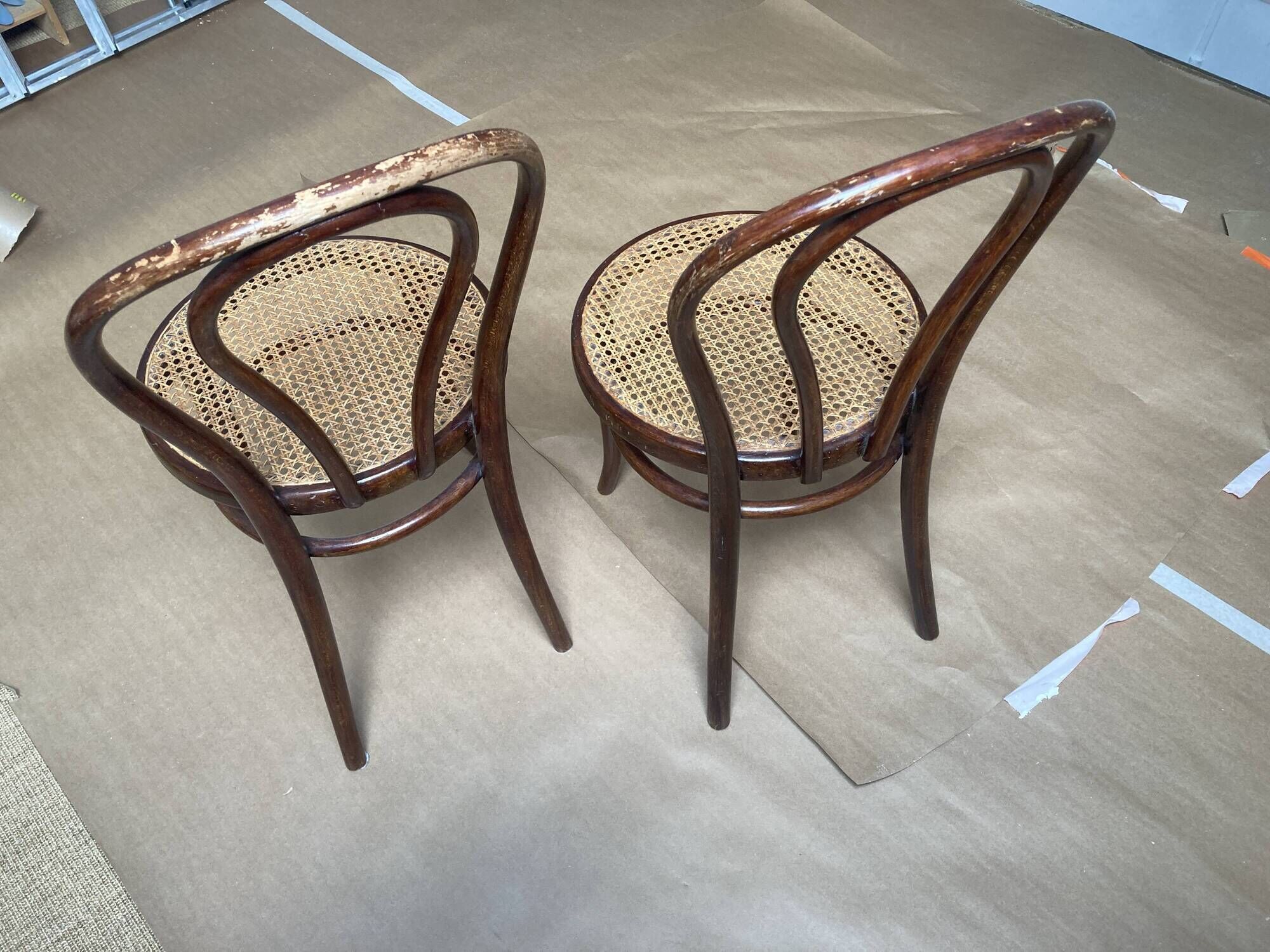 Chaises Thonet n°18