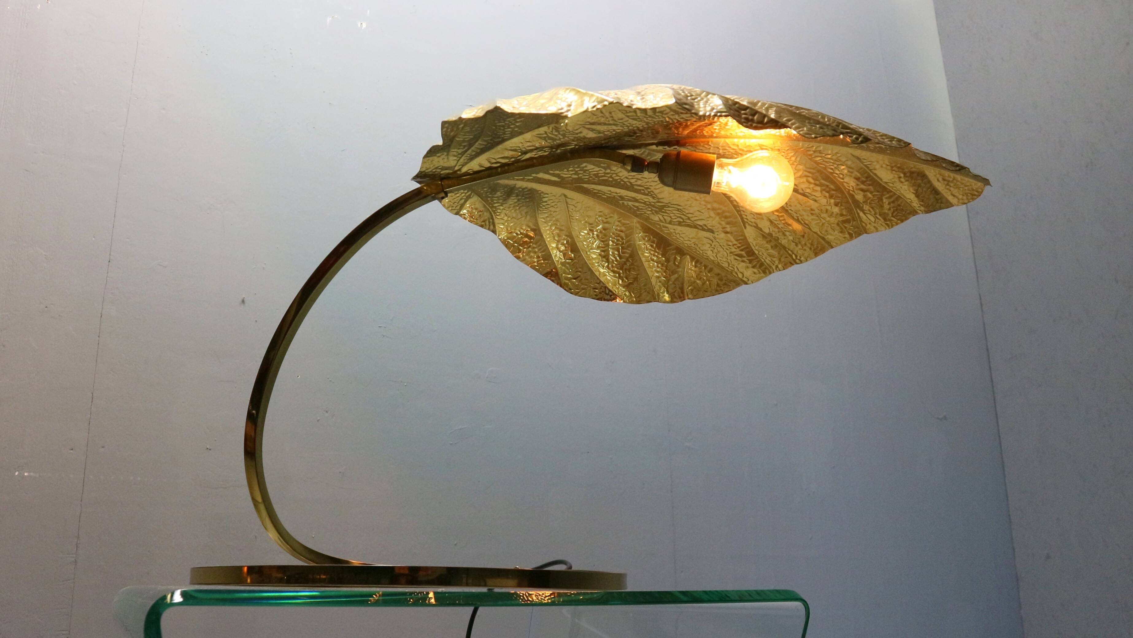 Tommaso Barbi "Rhubarb" floor and table lamp by Bottega Gadda Italy, 1970