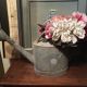 Zinc and copper apple watering can