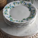 Fine porcelain dessert plates