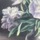 Tableau Ancien -peinture à l’huile - les Pivoines Blanches