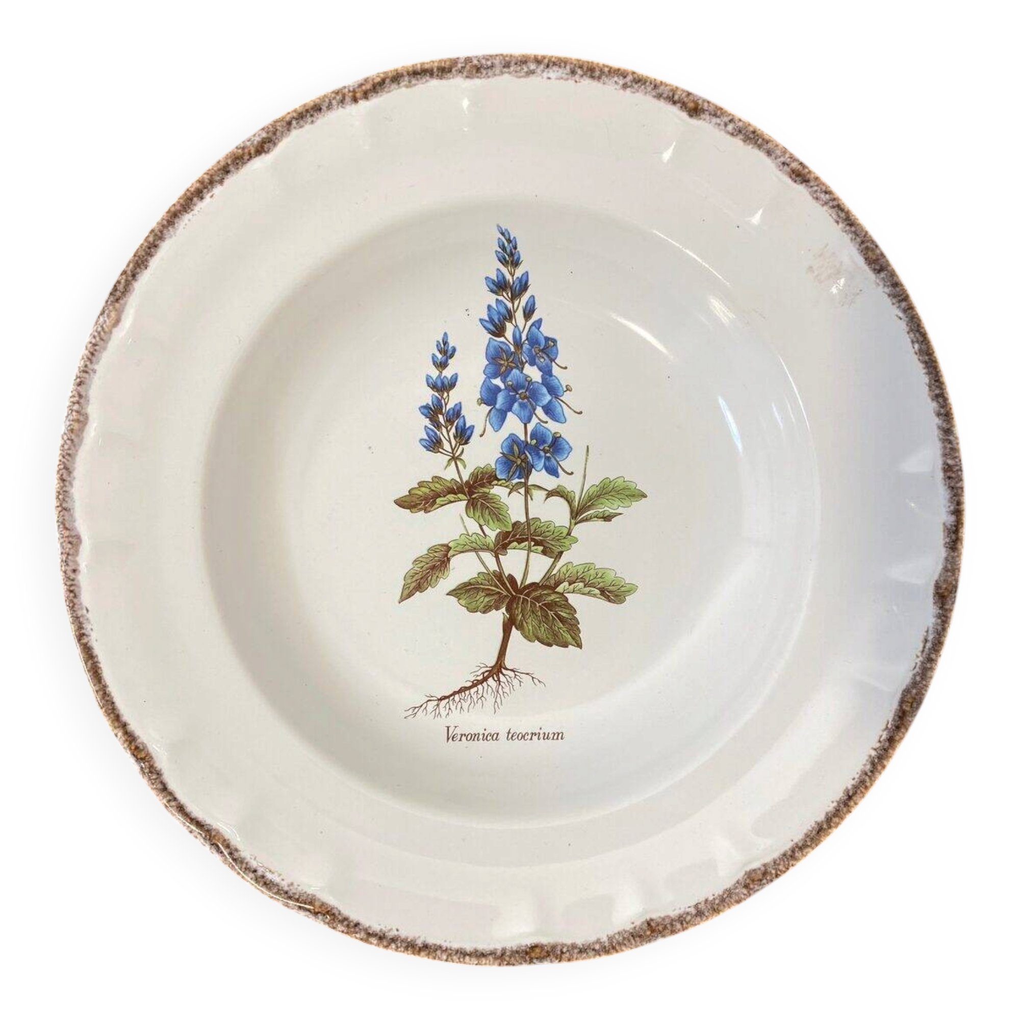 Set of 5 botanical deep plates, ADP Haute Provence