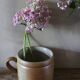 Vase terracotta milk jug with a glazed interior handle.
