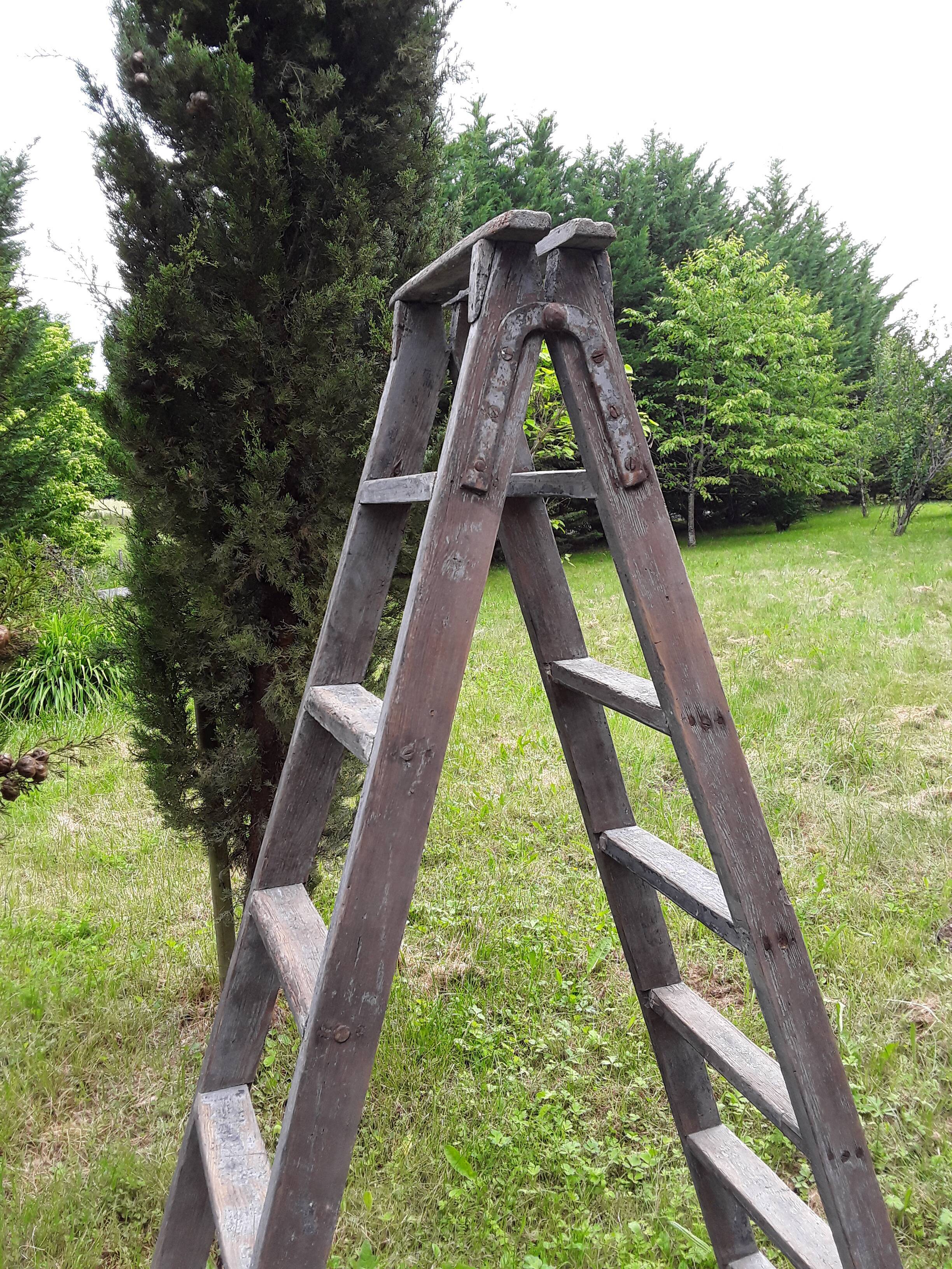Painter ladder, stepladder
