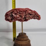 Antique Tubipora musica ornamental coral on wooden base, 16 cm