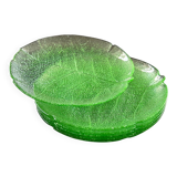 Set of 6 glass cabbage plates