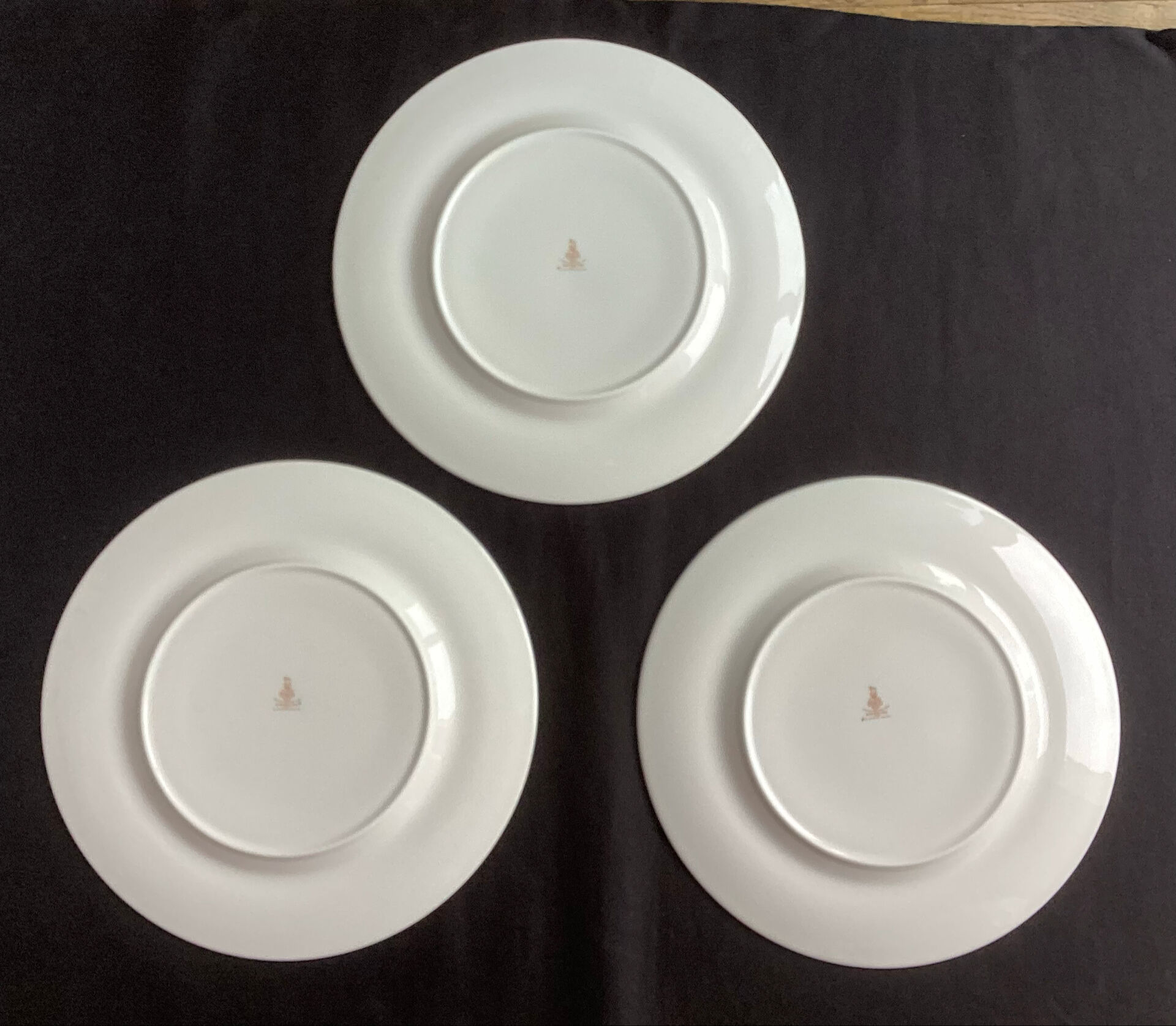 Large fine porcelain plates Royal Doulton Darjeeling