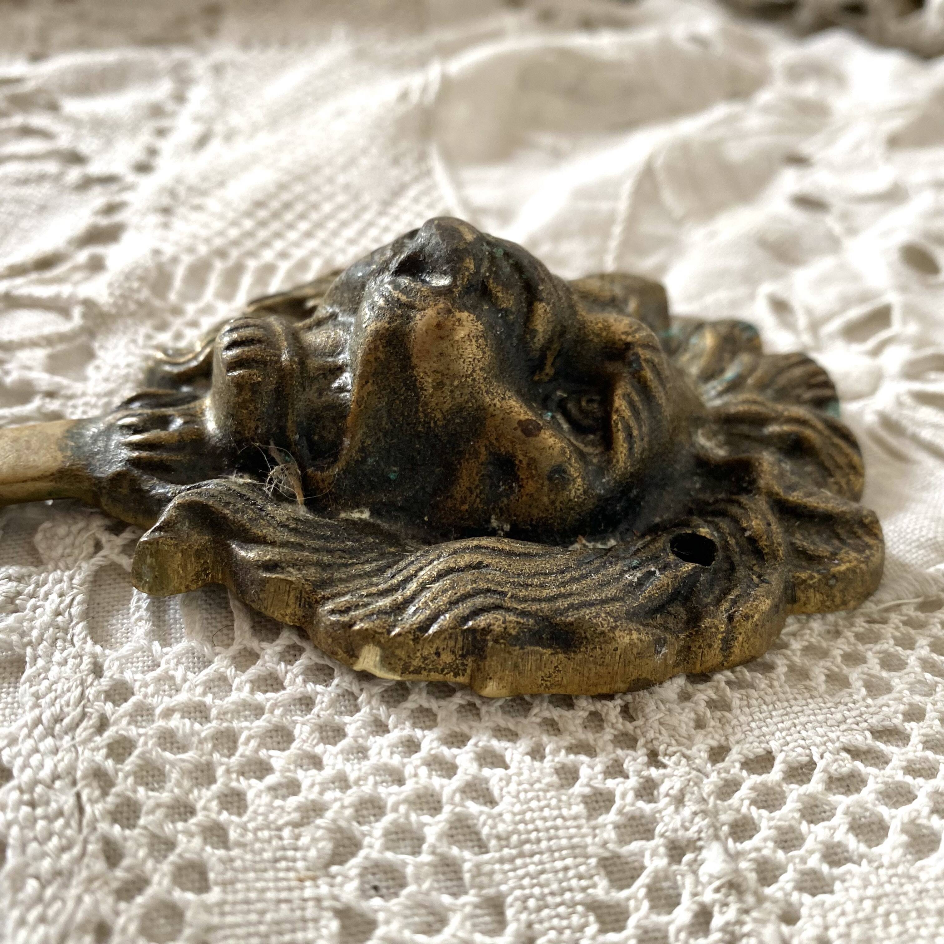 Brass lion head hooks