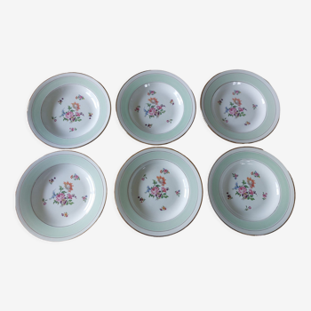 Assiettes semi-creuses en demi-porcelaine vertes et à fleurs