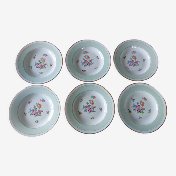 Semi-hollow plates in green and floral half-porcelain