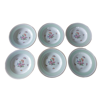 Assiettes semi-creuses en demi-porcelaine vertes et à fleurs