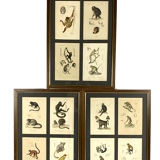 Set of 3 framed panels with 12 engravings from "Le Règne Animal" Georges