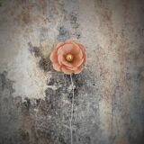 Rattan and linen flower petal wall light