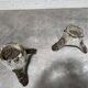 Pair of 50's wooden effect concrete planters