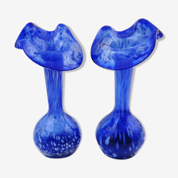 Ensemble de 2 vases à fleurs assortis