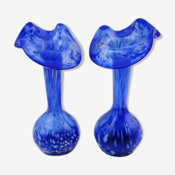 Set of 2 matching flower vases