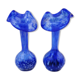 Ensemble de 2 vases à fleurs assortis