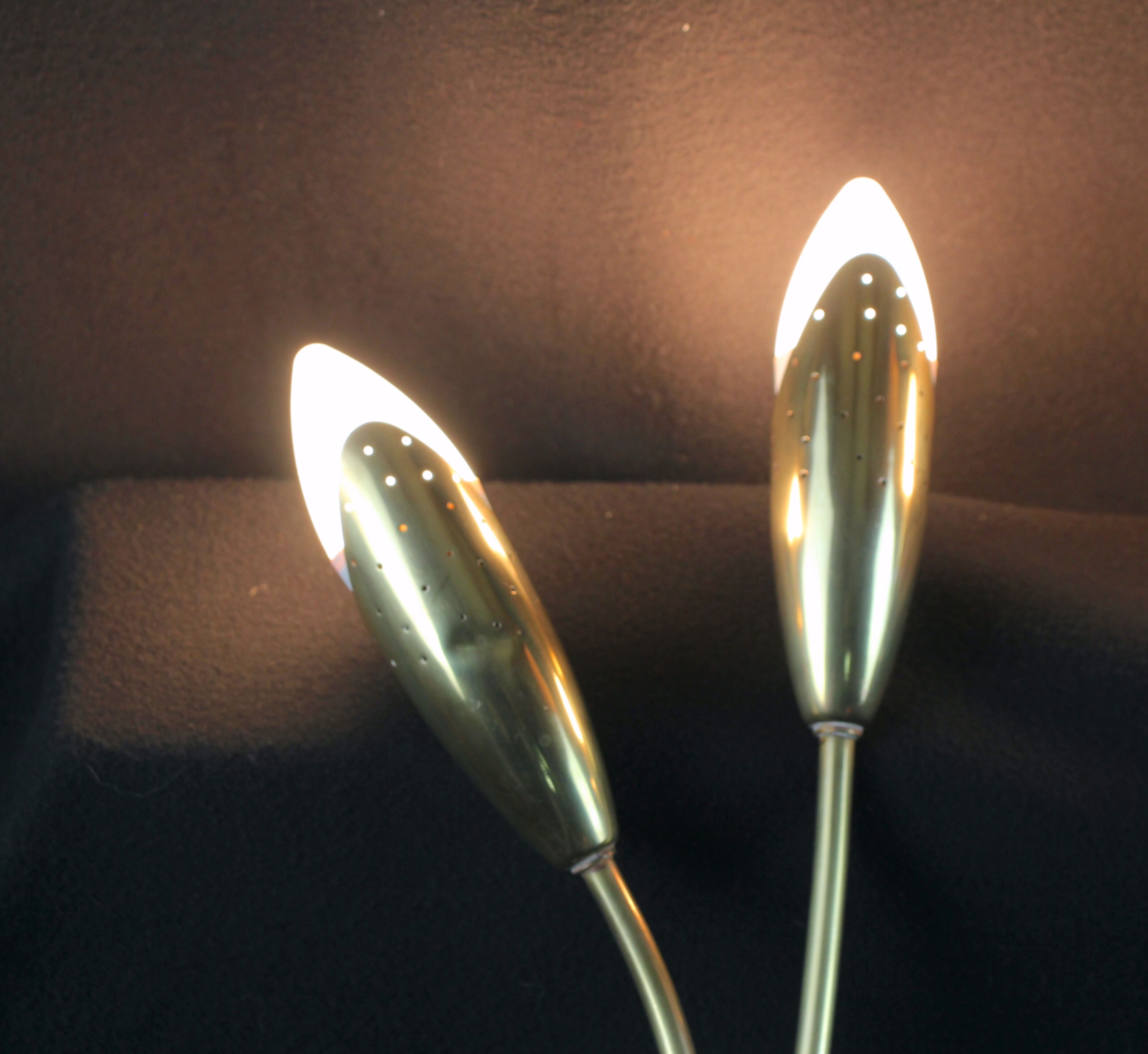 Pair of double brass wall lamp, tulip shape, France 1960's