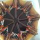 Vallauri dish