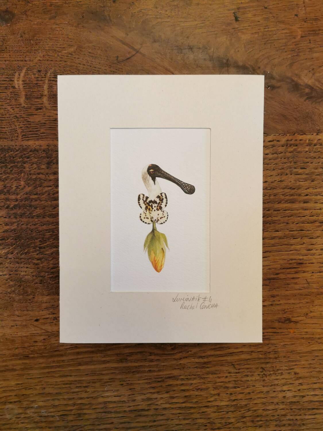 Lulinaile Collage #4