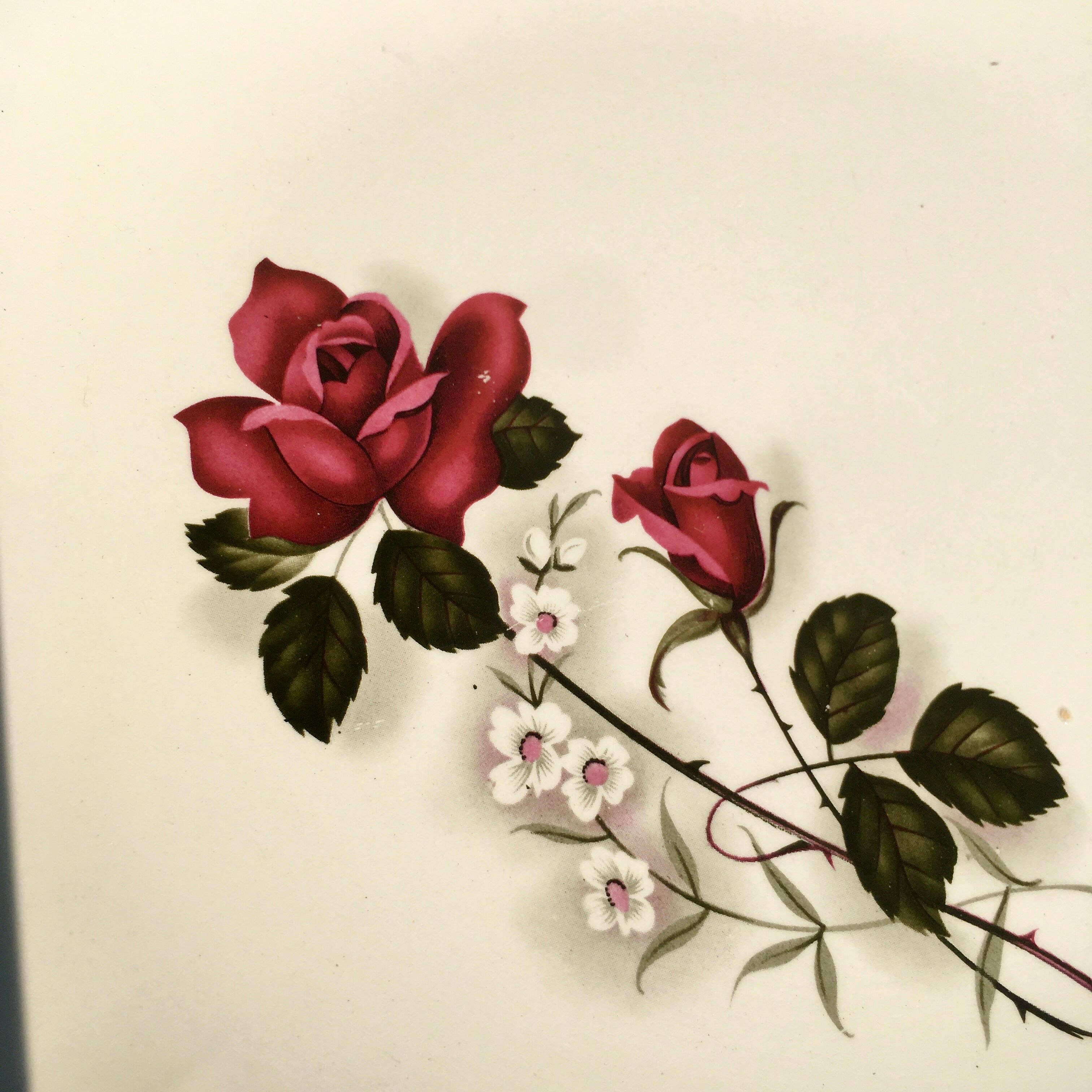 Round dish Digion & Sarreguemines