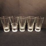 Set of 5 anisette glasses