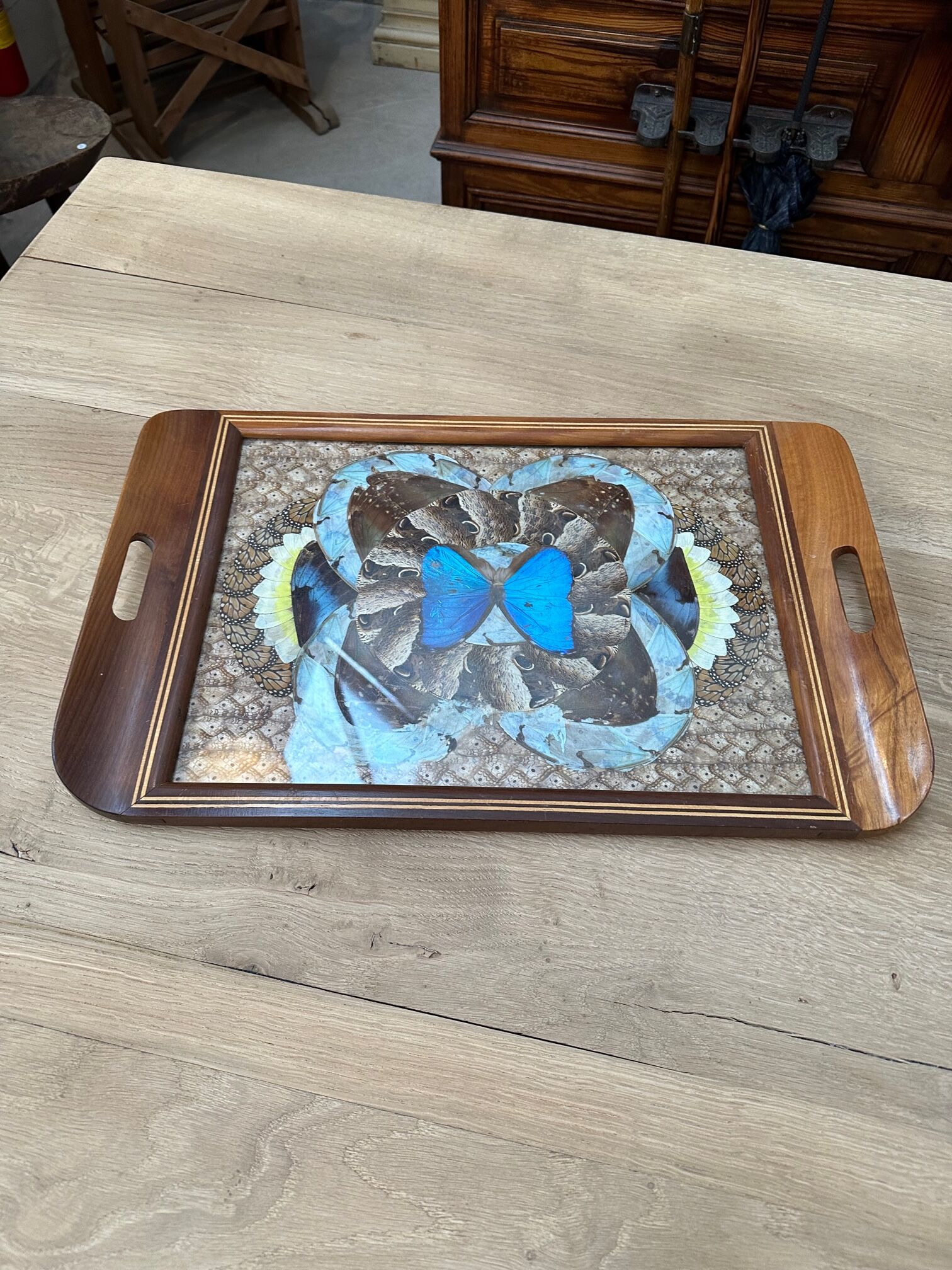 Inlaid top in exotic wood and butterfly wing decorations