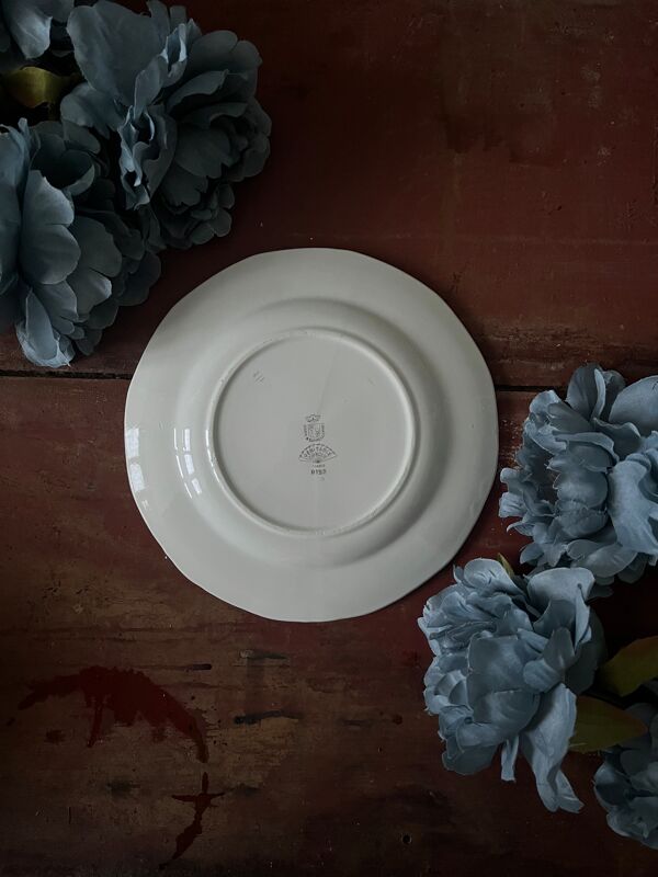 Assiettes et plat en véritable opaque Digoin Sarreguemines