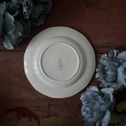 Assiettes et plat en véritable opaque Digoin Sarreguemines