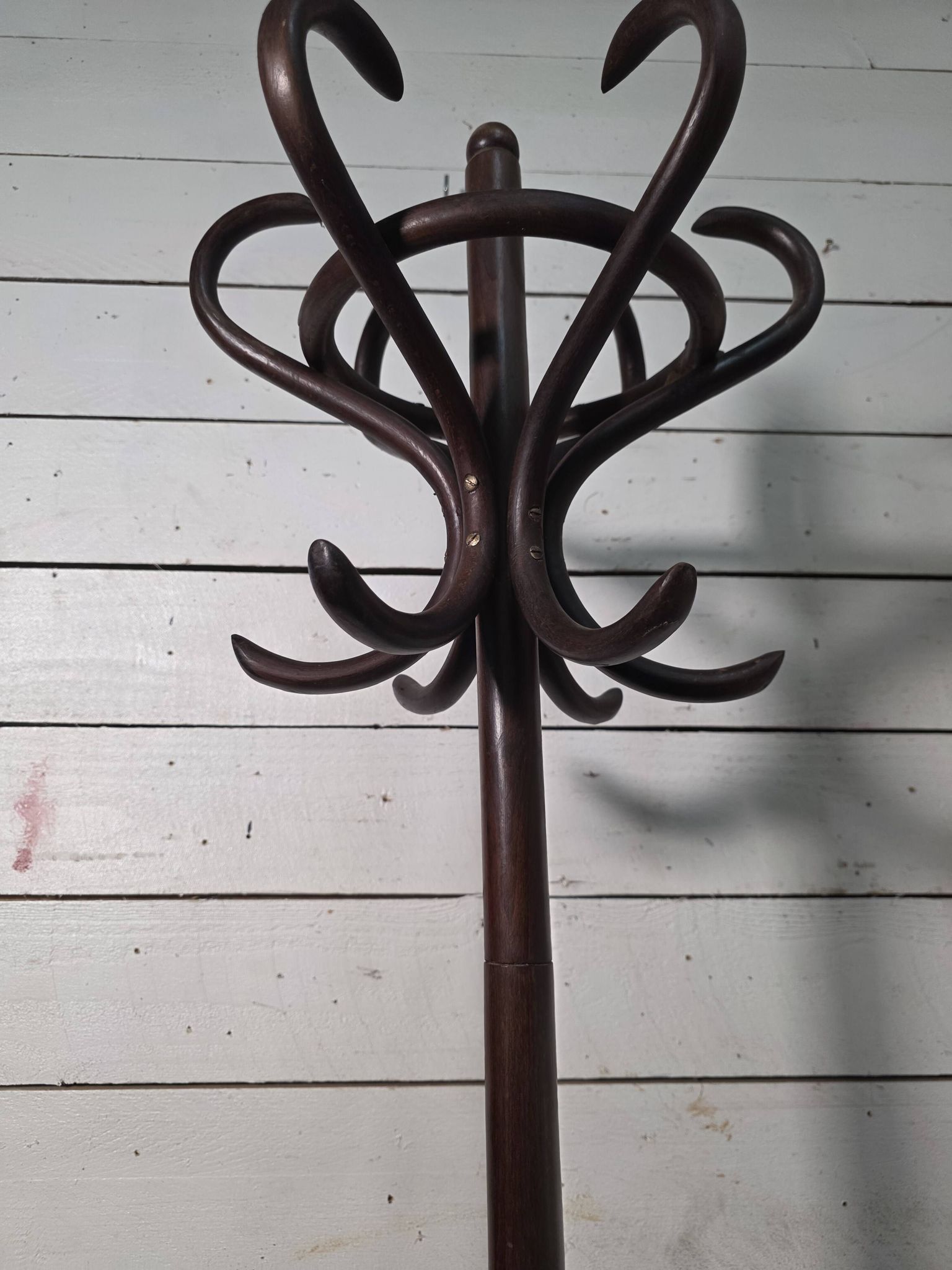 Perroquet en bois courbé ancien 