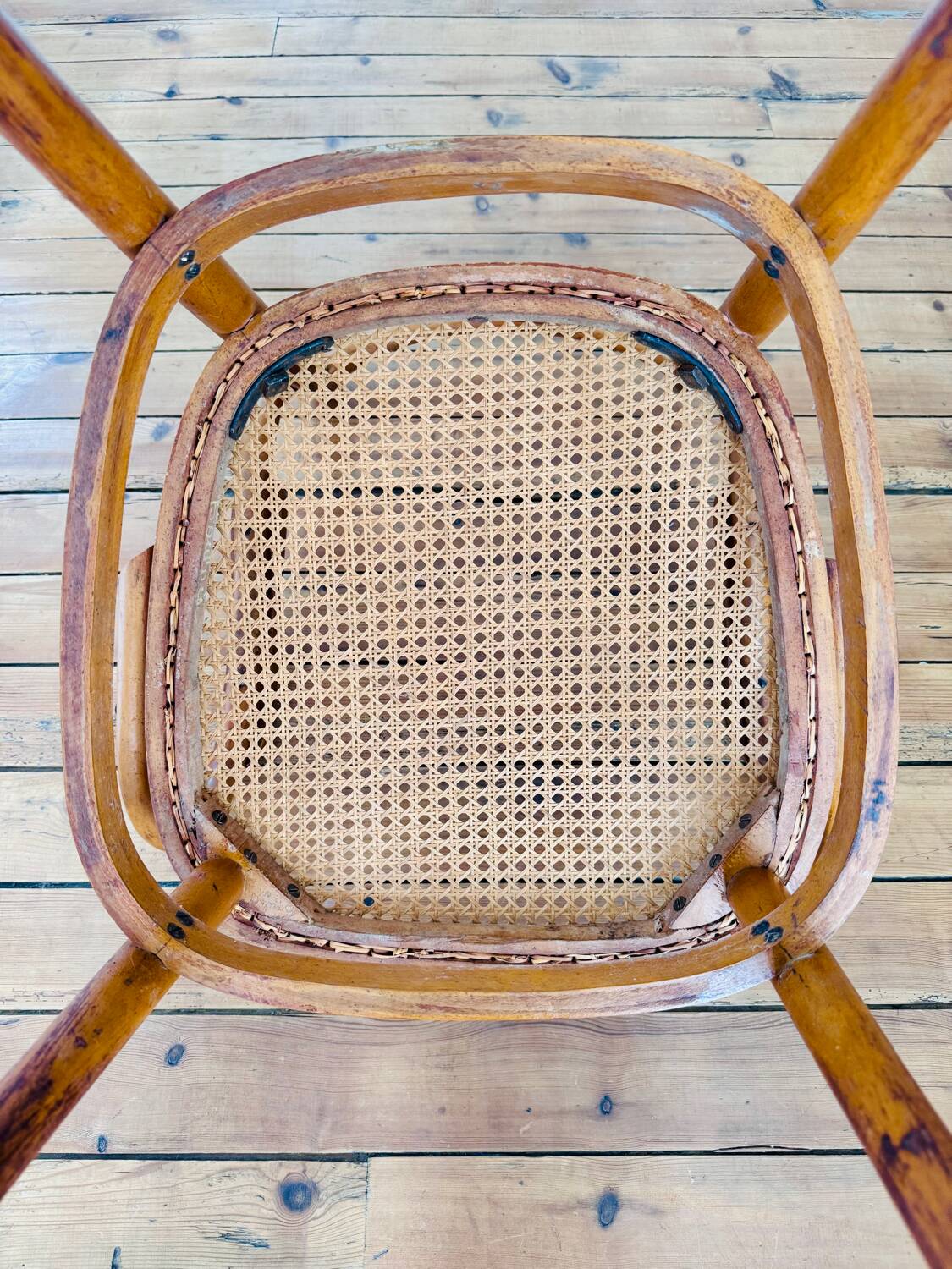 1900 curved wood armchair